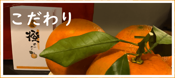 橙（だいだい）